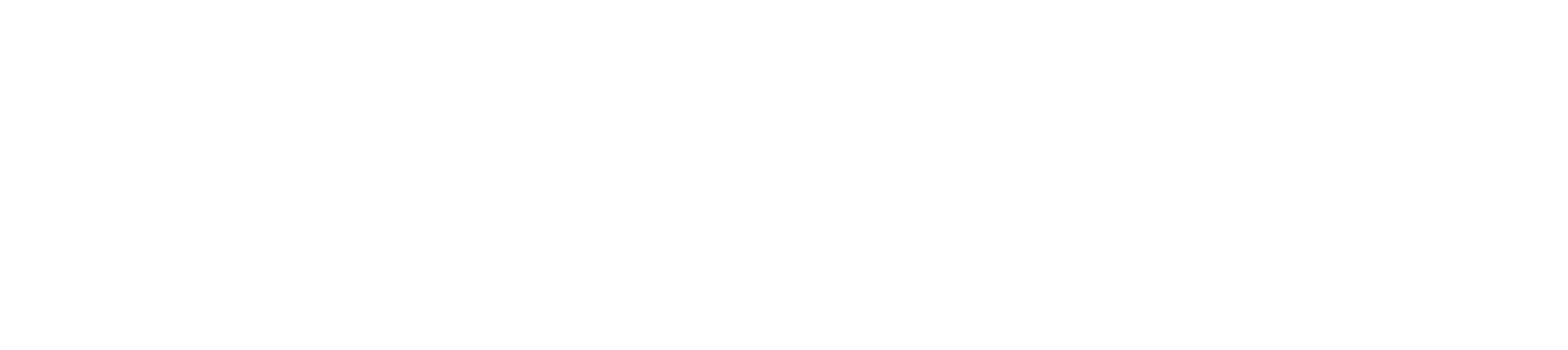 NSBE 2025